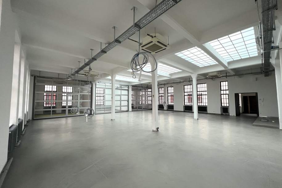 seltene Gelegenheit - lichdurchflutete, bezugsfähige Loftfläche für Kreative - rd. 328 m2 Büro/Atelier im Industrial-Loft mit Lift, wärmegedämmtes Dach, neue Lichtkuppeln, neue Loftfenster, Gewerbeobjekt-miete, 5.750,00,€, 1040 Wien 4., Wieden