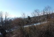 Ruhig gelegenes Baugrundstück mit eigener Zufahrt in Bad Fischau-Brunn