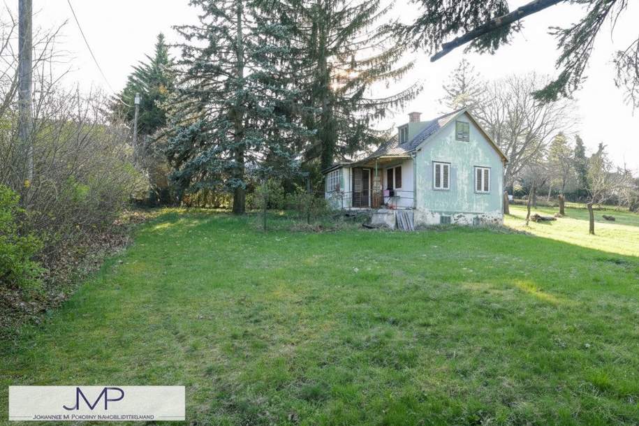 Preiswertes größeres Kleingartengrundstück in absoluter Ruhelage - mit PKW direkt erreichbar!, Grund und Boden-kauf, 789.300,€, 1190 Wien 19., Döbling