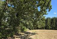 Waldgrundstücke in Deutsch Kaltenbrunn