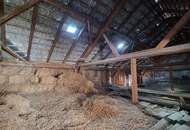 Großzügiges Mehrfamilienhaus mit viel Potenzial