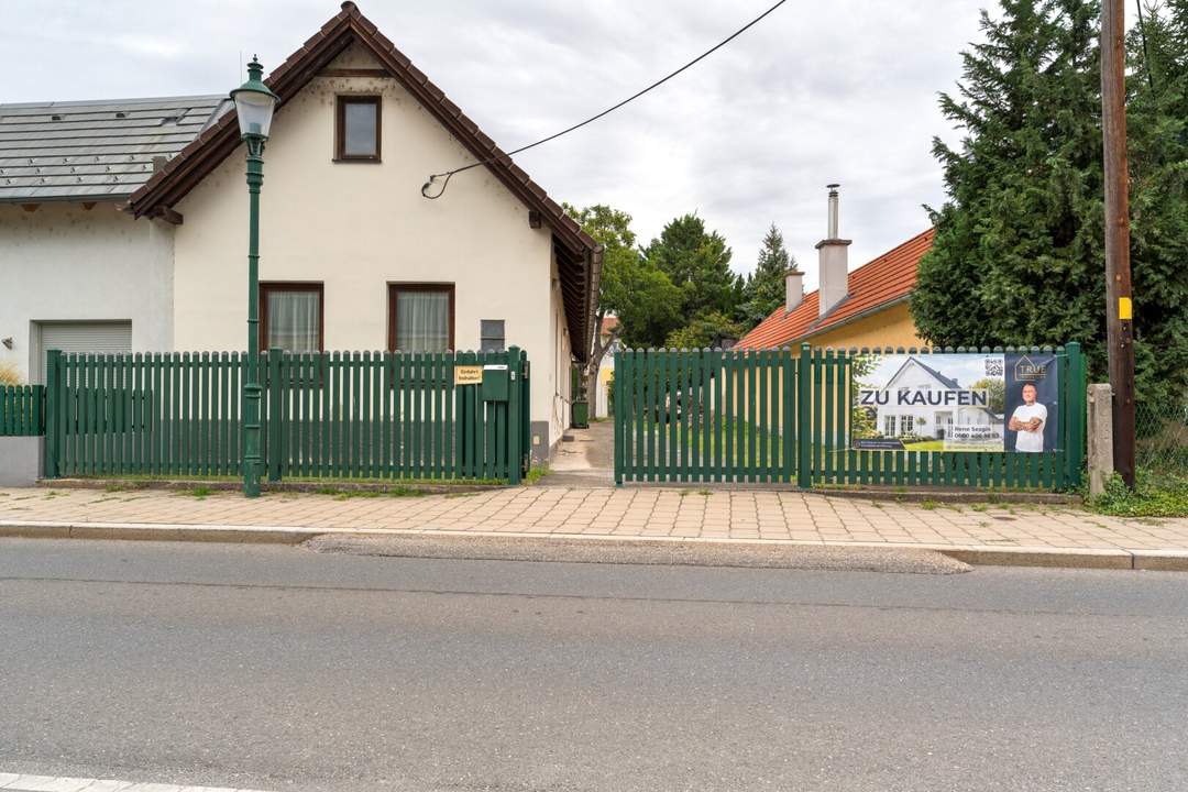 Kreativität gefragt ! Gestalten Sie Ihren Wohntraum