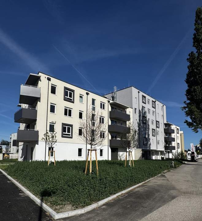 ERSTBEZUG im „ein viertel grün“ in Wiener Neustadt – stilvolle 2-Zimmer-Wohnung in zentraler Lage