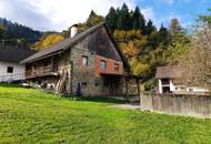 Für Naturliebhaber und Heimwerker- sanierungsbedürftiges Bauernhaus mit Nebengebäuden - zwischen Hermagor und Villach
