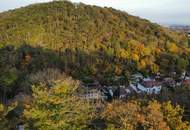 NATURLIEBHABER! Großer Baugrund in außergewöhnlicher Villen-Waldrandage am Rande des Lainzer Tiergartens! Naturschutzgebiet