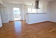 TERRASSENHIT, UNBEFRISTET, 84 m2 Dachgeschoß mit 64 m2 Terrasse, Wohnküche, 2 Zimmer, Wannenbad, Parketten, Fernblick, Holbeingasse