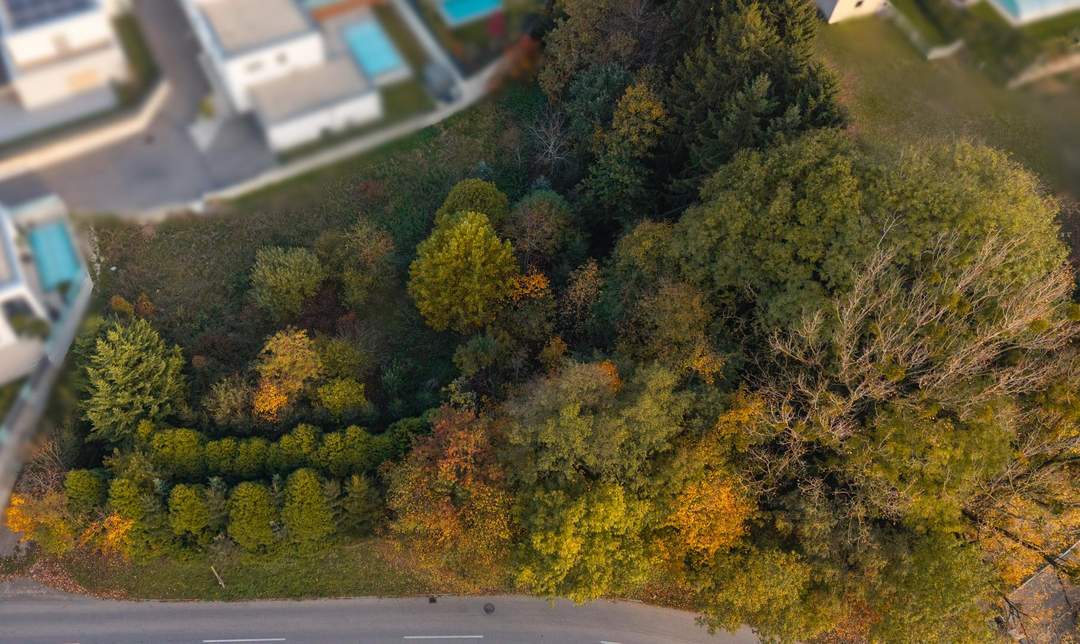 Vom Traum zum Zuhause – 821 m² Lebensfreude in Steinhaus - Grundstück mit vielen Möglichkeiten