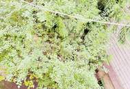 Zwei getrennte Wohneinheiten im Altbau – Sanierungsbedürftige Wohnung mit Potenzial in Penzing