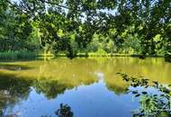 Naturparadies mit Fischteich, Fischerhütte und Wasserrechten - nahe Stadtschlaining