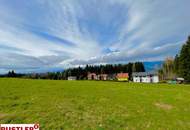 Baugrundstück für Bauträger im Ausmaß von 5.696 m² mit Almcharakter