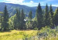 Wohnen direkt am Waldrand mit Panoramablick
