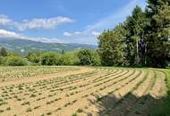 Attraktives Baugrundstück mit Entwicklungspotenzial – schöne Lage in St. Marein Nähe Wolfsberg