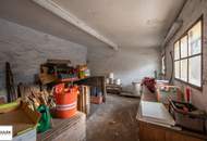 Liegenschaft mit Entwicklungspotenzial in Strebersdorf – Rußbergstraße 83 **VIDEOBESICHTIGUNG**