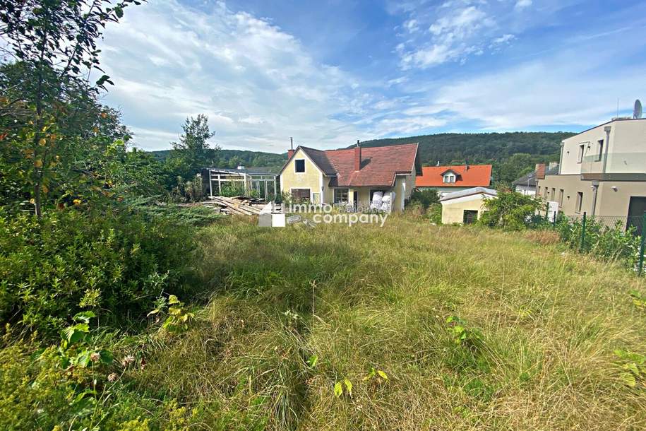 Grundstück mit ca. 1.319 m² und Altbestand in Sparbach, Grund und Boden-kauf, 490.000,€, 2371 Mödling