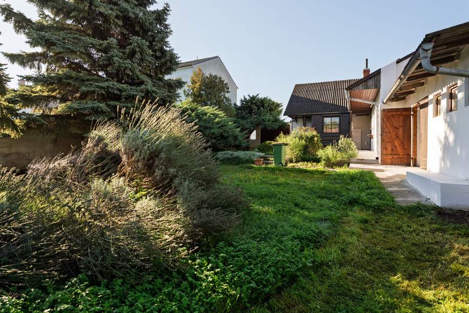 Modernisiertes Einfamilienhaus in 2301 Wittau – Ihr neues Zuhause wartet!, Haus-kauf, 345.000,€, 2301 Gänserndorf