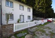 Haus an der Donau in Neustadtl - Stegmiete möglich!