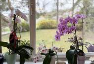 Bungalow mit großem Grundstück inmitten der Wachau