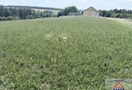 Landwirtschaftliche Flächen in der Nähe von Neuberg im Burgenland!