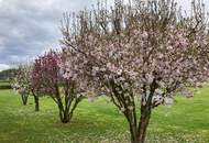 Einzigartiges Anwesen in herrlicher Naturkulisse bei Velden am Wörthersee