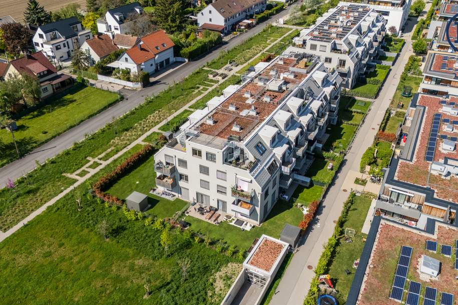 Sonnendurchflutetes Dachgeschossjuwel mit Gartenblick &amp; Nähe zur Lobau, Wohnung-kauf, 1220 Wien 22., Donaustadt