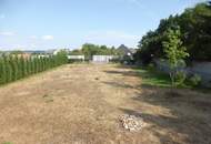 großes Einfamilienhaus mit gemütlicher Wohnatmosphäre, Wintergarten & Gartenbereich zur Vermietung