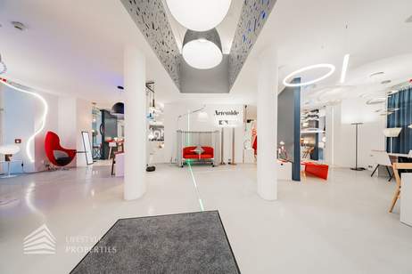 Großflächiges Geschäftslokal auf 2 Etagen in Toplage, Gewerbeobjekt-miete, 9.264,58,€, 1010 Wien 1., Innere Stadt