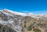 ALM-CHALET 1 - Freizeitwohnsitz in Toplage