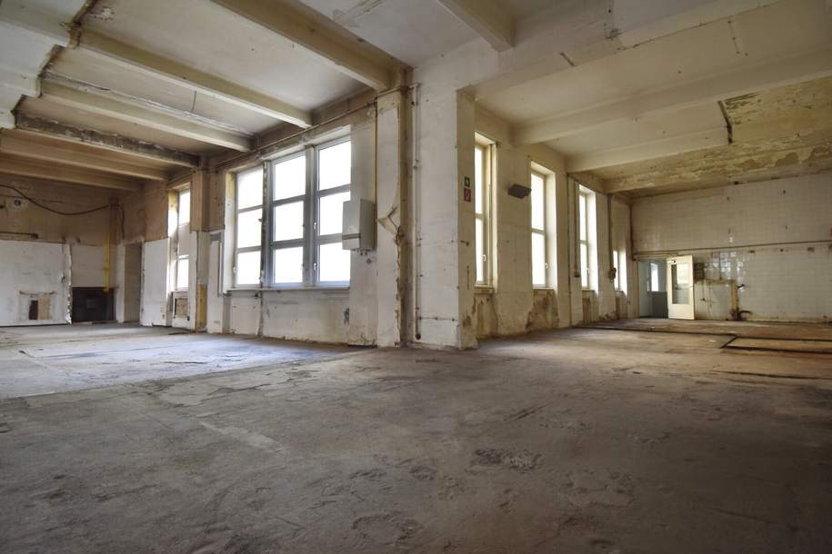 Exklusives Industrie-Loft mit bewilligtem Luxus-Interior-Konzept im Herzen Wiens – Ein Raum für Visionäre und Individualisten, Gewerbeobjekt-kauf, 2.250.000,€, 1070 Wien 7., Neubau