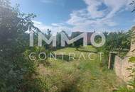 WOHN-UND GESCHÄFTSHAUS AUS DEM 16. JAHRHUNDERT IM HERZEN VON LANGENLOIS 100 m Kellerröhre, Nebengebäude, Innenhof, Geschäftslokale, usw.