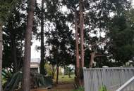 Wünderschönes, 2017 renoviertes Haus auf großem Grundstück mit traumhaftem Garten in Toplage von Stockerau