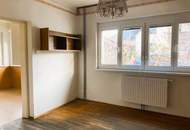 Einfamilienhaus am Stadtrand von Gloggnitz! Garten und romantisches Nebengebäude!