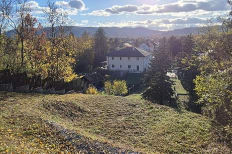 Baugrundstück mit Grünlandanteil (Eigengrund), Grund und Boden-kauf, 699.000,€, 2103 Korneuburg