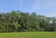 Paket - Angebot A01: Provisionsfreie Neubauwohnung mit 75m² Wfl., 9m² Terrasse, 59m² Garten, 2 TG-Plätze in Holzhäuseln!