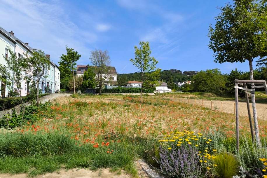 Baugrund in bester Lage mitten in Eisenstadt (Oberberg) – 729 qm (GST 3474/2, KG 30008) (Provisionsfrei), Grund und Boden-kauf, 328.000,€, 7000 Eisenstadt(Stadt)
