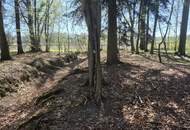 landwirtschaftlicher Grund mit Wald