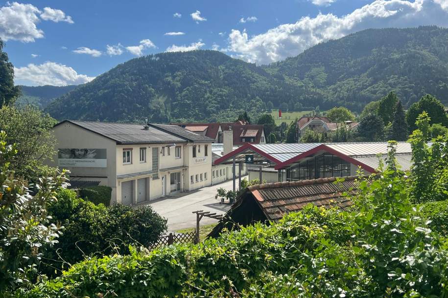 Vielseitig nutzbares Wohn- und Gewerbeareal in zentraler Toplage in Frohnleiten, Gewerbeobjekt-kauf, 880.000,€, 8130 Graz-Umgebung