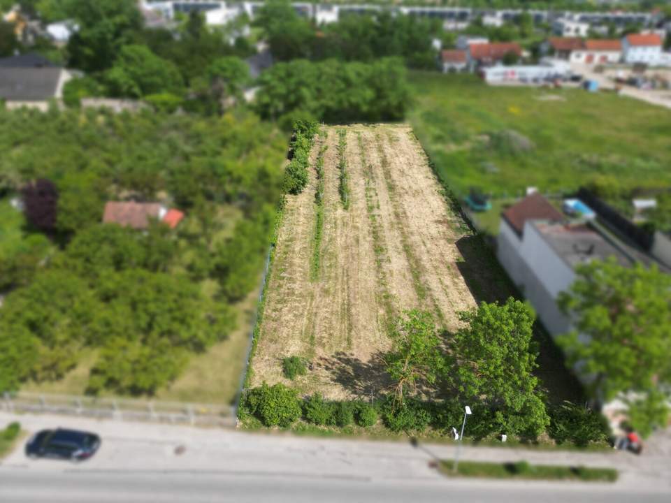 Attrakives Baugrundstück in Krems-Gneixendorf