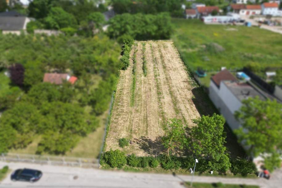 Attrakives Baugrundstück in Krems-Gneixendorf, Grund und Boden-kauf, 400.000,€, 3500 Krems an der Donau(Stadt)