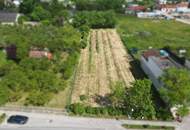 Attrakives Baugrundstück in Krems-Gneixendorf