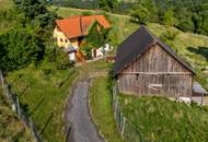 Landhaus mit Scheibengrundstück 23 Minuten vor Graz!
