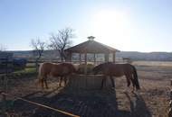 Privates Pferdeparadies für Liebhaber – genehmigt, etabliert, bezugsbereit