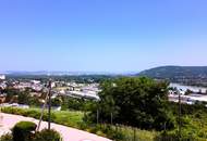 Die Donau im Blick