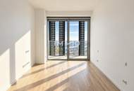 The Skyline Penthouse: DC2 Tower Level 51 - DANUBE HORIZON