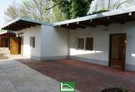 Low-energy house, very sacious with an additional office/practice or apartment of 70 m². Completely renovated in 2023.