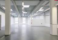 Lagerhalle 650 m2 mit Büro 230 m2 Kombination südlich von Wien, in Wr. Neudorf