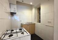 Sanierungsbedürftig + Altbau + 1 Zimmer + separate Küche + Erdgeschoß