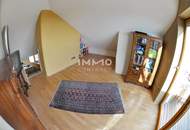 88,46qm Panorama-Dachterrassenwohnung in Stein, Donaublick, Lift, DPU-fußläufig