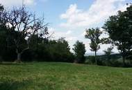 Grünland Tullnerfeld Aussichtslage