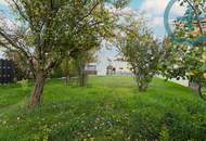 Unberührtes Juwel bei der Lobau