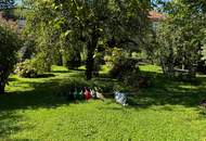 Grünes Paradies für Stadtbewohner - Parkfläche St. Veit